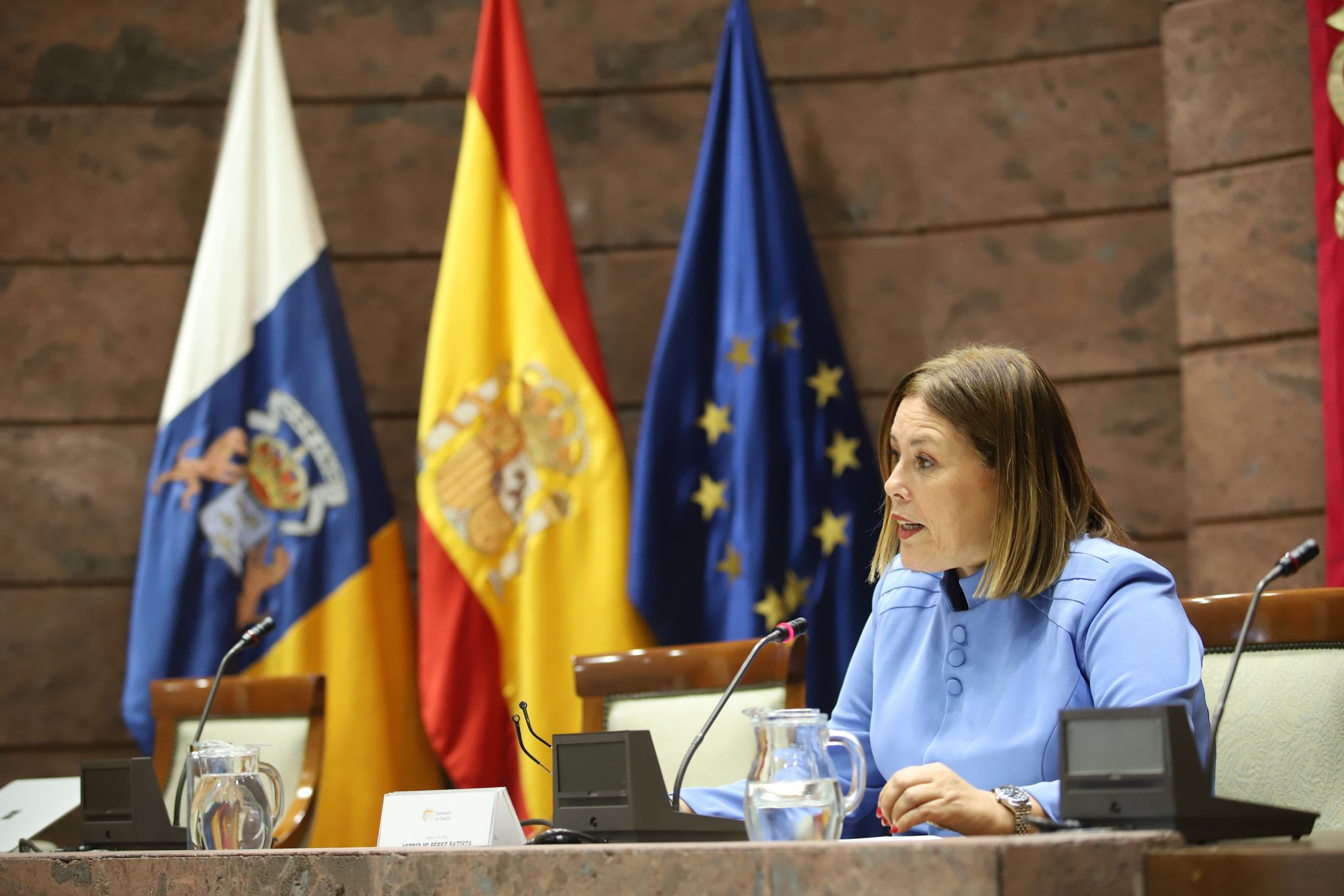 Astrid Pérez en la apertura de las I Jornadas Canarias Infancia