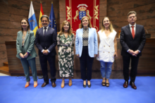 Fotografía Dolores Padrón se convierte en la primera Diputada del Común de la historia de Canarias 