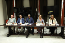 Fotografía El Parlamento de Canarias aborda el nuevo decreto de discapacidad en la Comisión General de Cabildos Insulares 