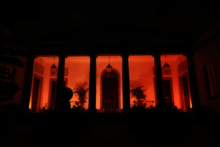 Fotografía El Parlamento de Canarias se une a la campaña mundial del ictus 